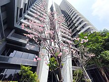 北屯漢神百貨旁高樓層景觀戶飯店式管理3房平車