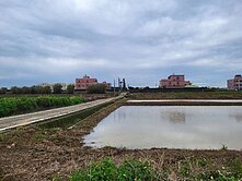 150中壢山東農地(專任委託,案件穩定)
