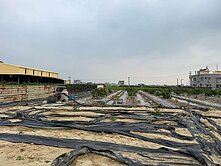 嘉義住商一銀 新港大潭路旁三角窗農地