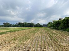 專任 附近中壢體育園區 龍慈路旁稀有大坪數都內農
