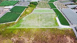 高樹驕陽綠境農地