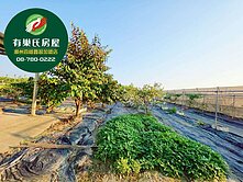 🌾【崁頂•方正美農地】🌿