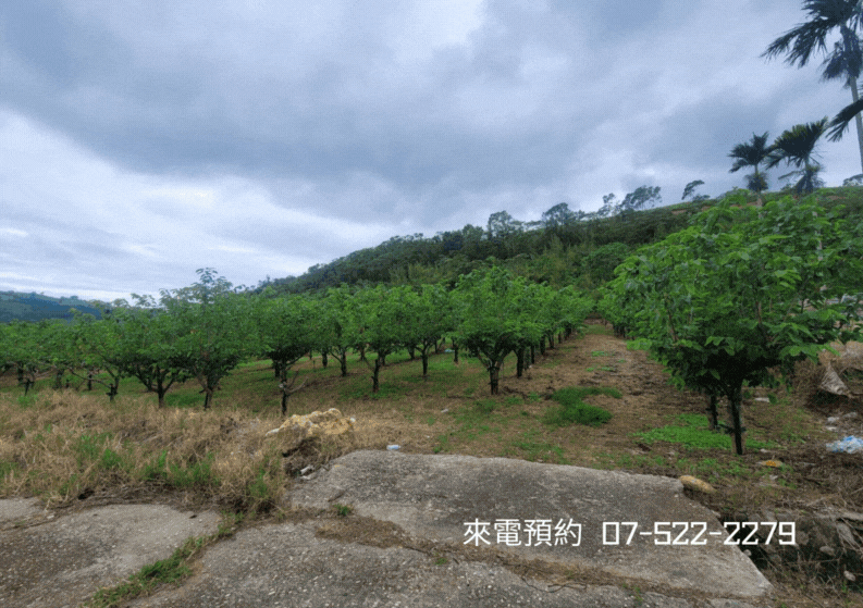 ￥【獨家】初鹿休閒農業區農地