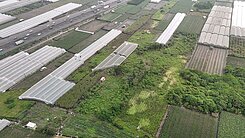員林交流道特定區超超超級低單坪價都內農地！