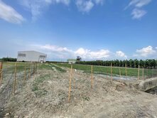 大寮翁公園  優質大面積  都內農地，市場關注度高
