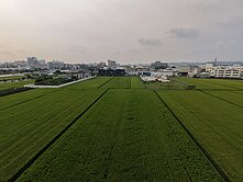 情定江山-大寮約800坪都內優質農地