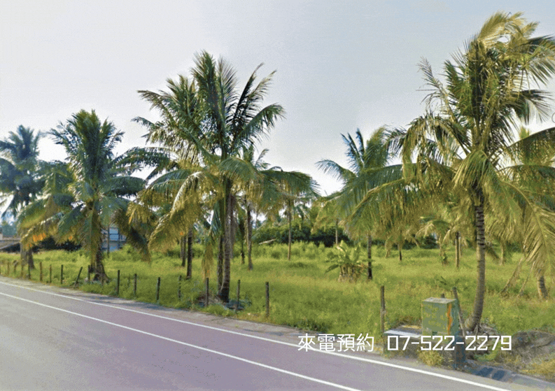 ￥【獨家】杉林花海美農地