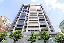 太普漢神線上|質感採光|三房平車