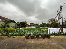 227 中壢環中東路旁都內農(專任委託,案件穩定)