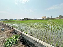 大甲西岐段/1022坪/方正美田