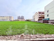 梧棲南簡段雙面臨路住四建地