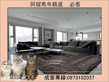 農十六漫光蒙梭❤️高樓景觀雙主臥、雙平車、衛浴開窗