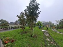 大湖養生農地~免整理有景觀-贈小木屋