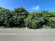 🌼神岡方正大坪數農地✨