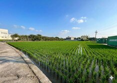 神岡國豐段潛力地都計內農地