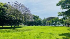 綠線大溪延伸GA01站/正20米埔頂路/住二店地