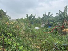 萬丹15米大路旁▲優質大面寬農地