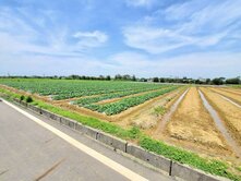 【投資價1.39萬】保值節稅可做農保、農舍、資材室