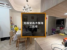 🎖️卓悅聯盟🎖️知森堂森木樹海三房車