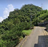 苗栗大湖美農地