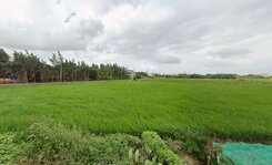 市府二期高公告徵收地(農地變建地)專任約