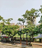 面芝山國小黃金二樓