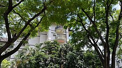 仁雄商圈｜亞洲渡假村｜大套房平車｜開闊視野綠景
