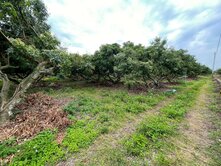 嘉義住商一銀 東山荔枝園3.2分農地