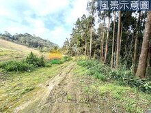 獨賣出價談🌈新竹北埔休閒農地