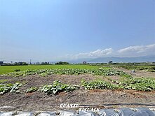 (礁溪時潮)休閒農業區3756坪農地