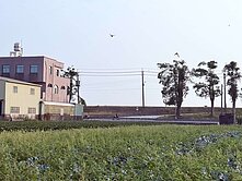 和發工業區旁*都內農地