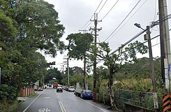 🔥楊梅火車站㊣楊湖路一段三角窗美建地