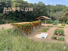 楊梅體育園區低總價景觀農地