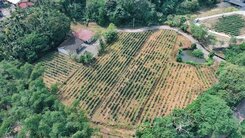 稀有千坪平坦農地✨合法農舍✨小河山坡露營置產慢活