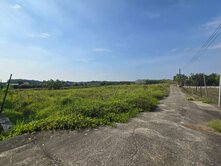 鄰大樹市區 #特農3.5分臨路方正美農地