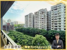 西屯11年屋！雲世紀樹梢戶｜3房附平面車位
