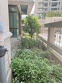 未住過有庭院