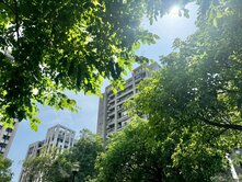 🔥順天建設★稀有面公園★室內使用坪效41坪🔥