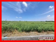 七股濱海公路907美農地