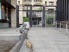 八期G11.G12豐樂公園捷運▲久樘視野四房雙平車