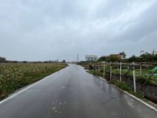 🌷新屋面寬型低總價農地*313坪🌷