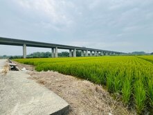 台南官田都計內1分半方正便宜美農地