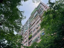 果貿桃子園大三房雙衛開窗平車可租
