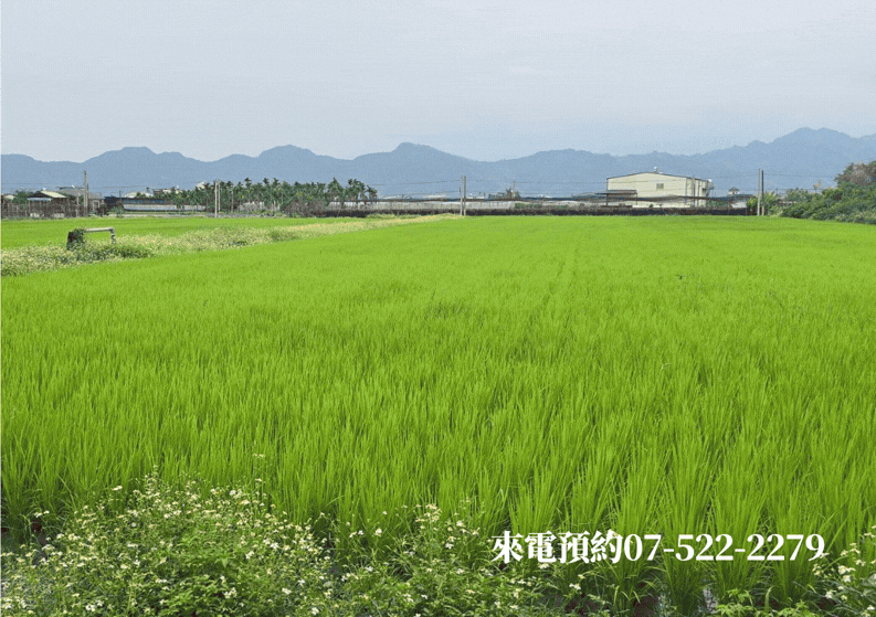 美濃和興路12.5分｜大面寬臨路農地