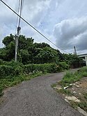 大雅神林路雙面路農地+乙建+廠房二棟特登通過