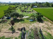 仁德南丁路4.8分農地