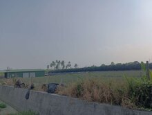 麟洛大面寬農地近義大醫院屏東健康產業園區