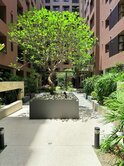 壯壯Eason-南屯嶺東商圈順天建設大兩房平車