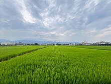 住商蓮姊～壯圍近國五傳承農地