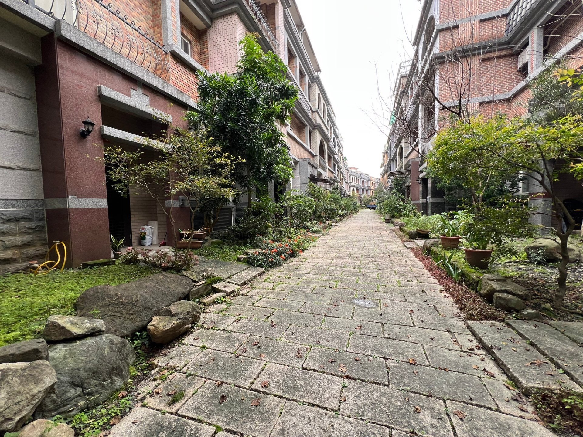 封面圖